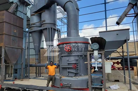 南非金矿石制粉项目